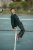 hanging_on_reduced